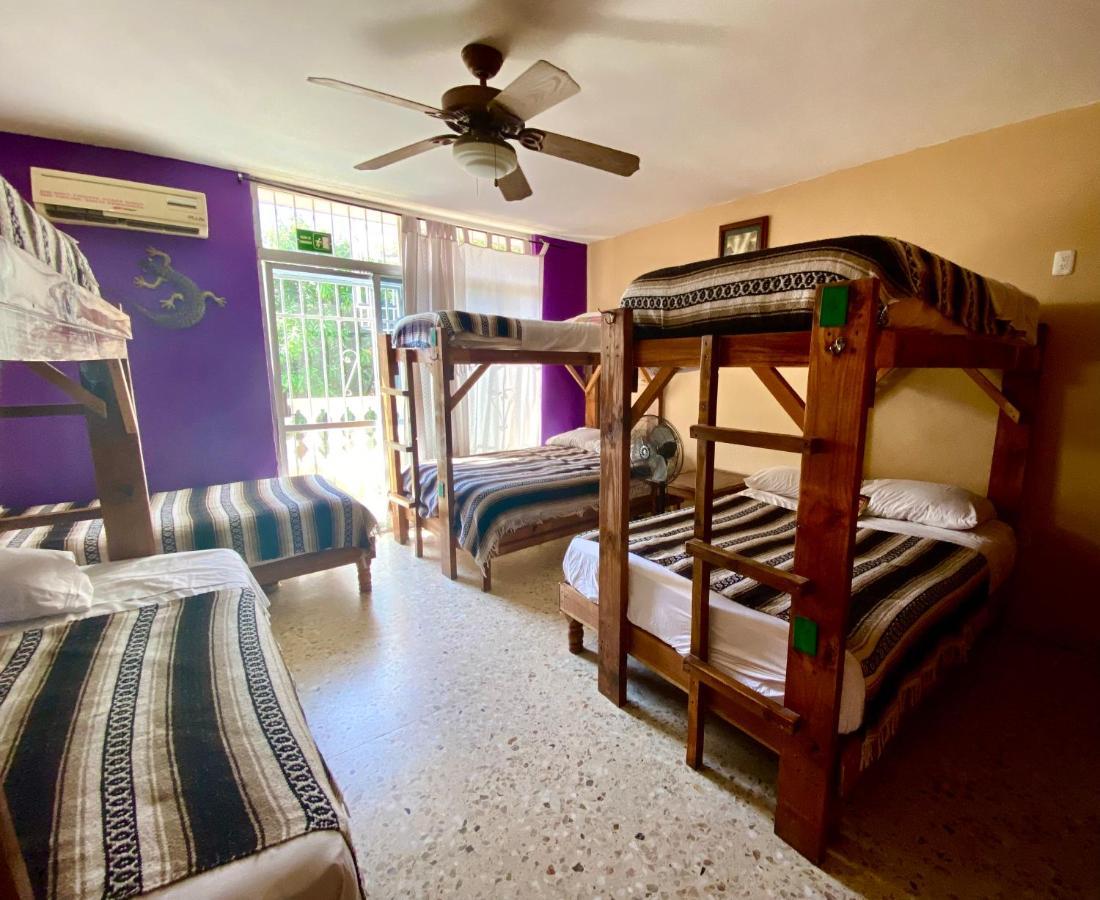 Wandering Monkey Guesthouse Mazatlán Eksteriør billede